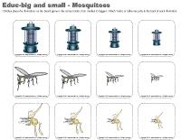 Educ big and small - Mosquitoes