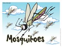 Mosquitoes