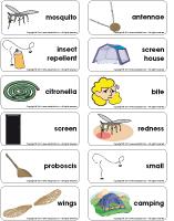 Word flashcards - Mosquitoes