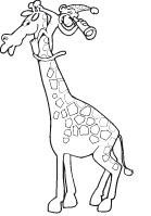 Coloring pages theme - The jungle Coloring pages theme - The jungle