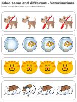 Educ-same and different - Veterinarians
