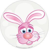 My-rabbit-path My-rabbit-path