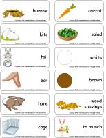 Word-flashcards-Rabbits Word-flashcards-Rabbits