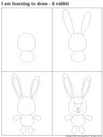 I am learning to draw-A rabbit