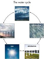 Poni presents-The water cycle