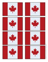 Canadian flag-small