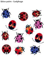 Educ-pairs-Ladybugs Educ-pairs-Ladybugs