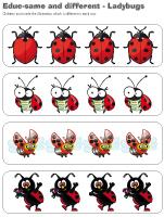 educ-same and different-Ladybugs educ-same and different-Ladybugs