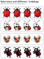 educ-same and different-Ladybugs