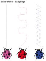Educ-trace-Ladybugs Educ-trace-Ladybugs