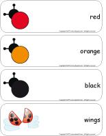 Giant word flashcards-Ladybugs Giant word flashcards-Ladybugs