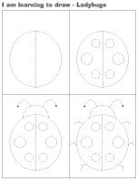 I am learning to draw-Ladybugs I am learning to draw-Ladybugs