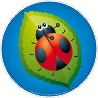 My ladybug-path My ladybug-path