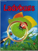 Ladybugs