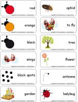 Word flashcards-Ladybugs