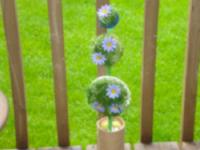 Decorative topiary-1 Decorative topiary-1