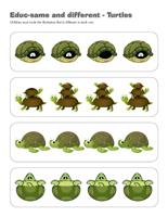 Educ-same and different-Turtles Educ-same and different-Turtles