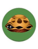 My turtle path My turtle path