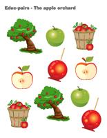 Educ-pairs-The apple orchard