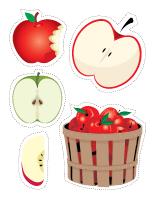 educa-decorate-Apples