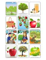 Picture game-The apple orchard