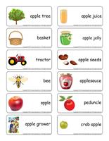 Word flashcards-The apple orchard