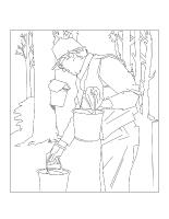 Coloring pages theme-Sugar shack Coloring pages theme-Sugar shack