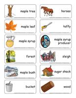 Word flashcards-Sugar shack