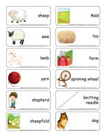 Word flashcards-Sheep