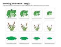 Educ-big and small-Frogs