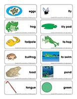 Word flashcards-Frogs