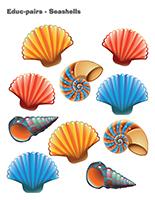 Educ-pairs-Seashells