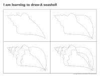 I am learning to draw-A seashell