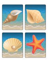 Picture game-Seashells