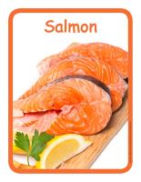 Educ-poster-Salmon