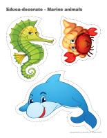 Educa-decorate-Marine animals