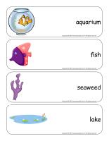 Giant word flashcards-Fish