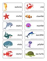 Word flashcards-Marine animals
