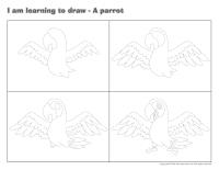 I am learning to draw-A parrot