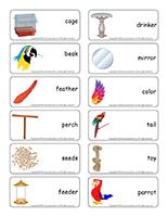 Word flashcards-Parrots