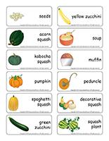 Word flashcards-Squash