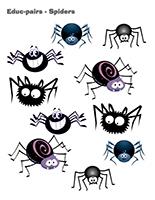 Educ-pairs-Spiders