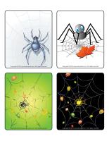 Picture game-Spiders