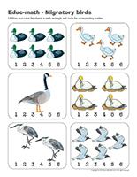 Educ-math-Migratory birds