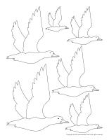 650 Bird Migration Coloring Pages Download Free Images