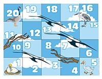 Snakes and ladders-Migratory birds