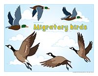 Migratory birds