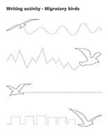 Writing activities-Migratory birds