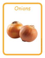 Educ-poster-Onions Educ-poster-Onions