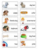 Word flashcards-Dogs